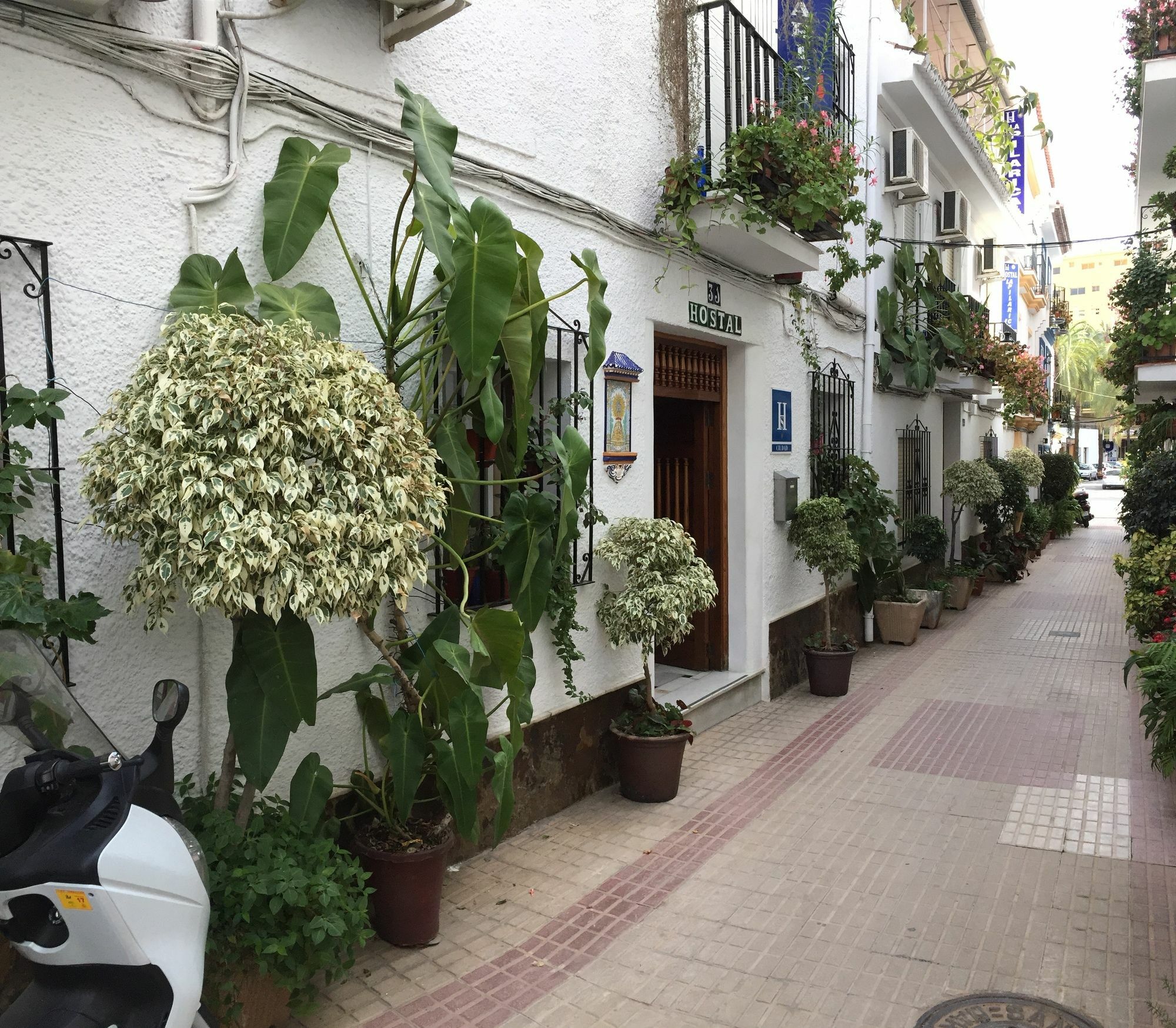 Hostal La Pilarica Marbella Exterior foto